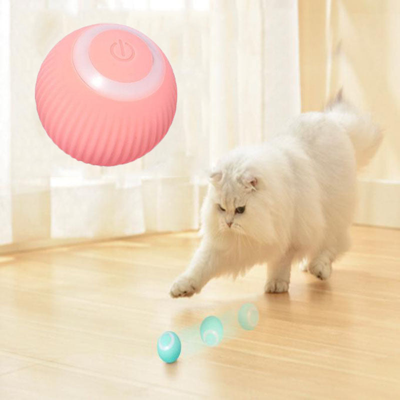 Interactive Dog Ball – Keep Your Pup Entertained for Hours