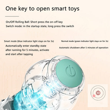 Interactive Dog Ball – Keep Your Pup Entertained for Hours