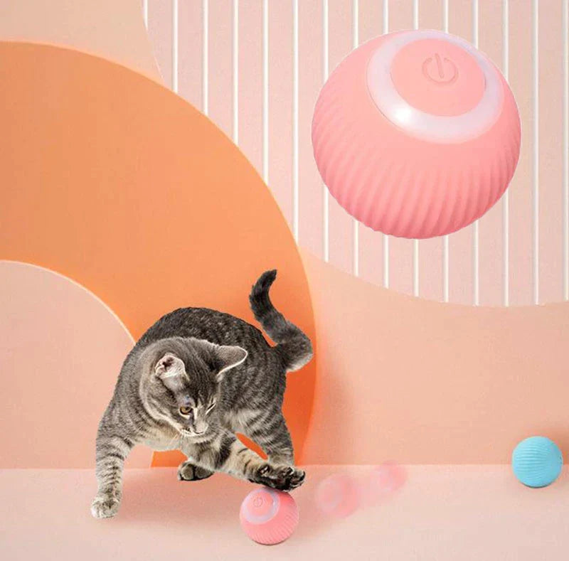 Interactive Dog Ball – Keep Your Pup Entertained for Hours